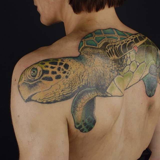 Los Mejores Tatuajes de Tortugas y su Significado