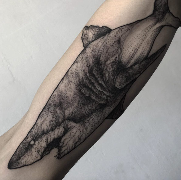 Fantásticos Tatuajes de Tiburones